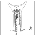 image1.png