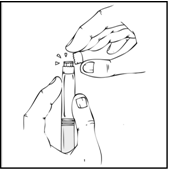 image12.png