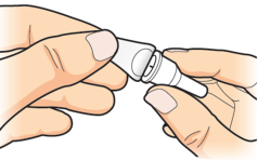 image11.png