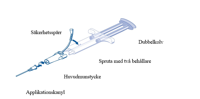 image1.png