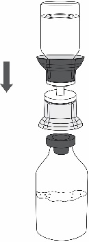 image4.jpeg