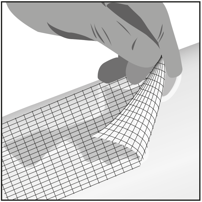 image3.png