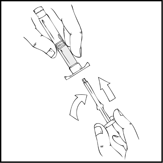 image11.jpeg