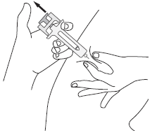 image12.png