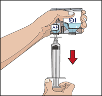 image5.png
