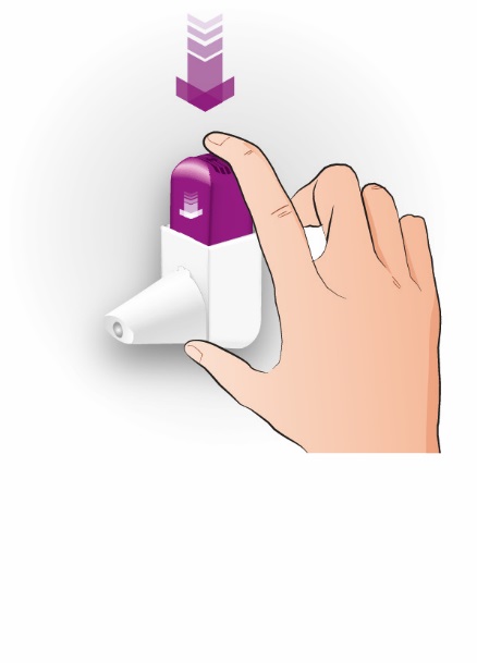 image5.jpeg