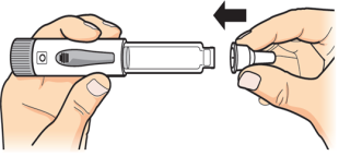 image12.png