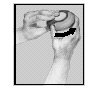 image2.png