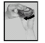 image5.png