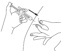 image10.png