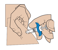 image7.png