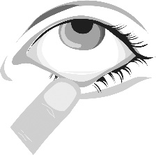 image2.jpeg