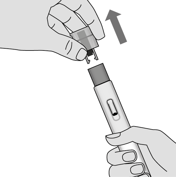 image21.png