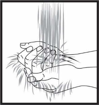 image2.jpeg